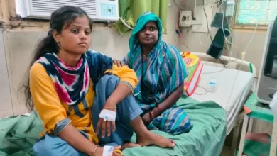 While breaking Taroi, the girl was bitten by a snake, saved by placing 25 anti -snack fromum