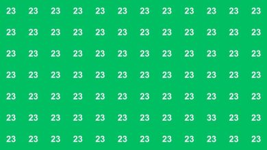 Optical illusion: Only 1 on 10 can see the hidden number in this roster of 23s within 10 seconds
