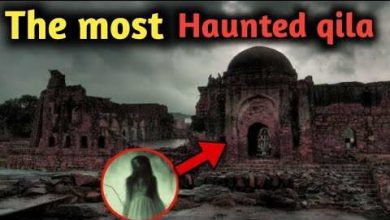 The horrible incidents of Tantra-Mantra of Bhangarh that are trapped on camera will scream for fear by watching in the video