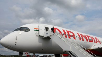 Air India Flight Abort Landing Due to Unstabilized approach, land safely in the second attempt