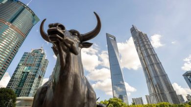 Families’ savings and small investors