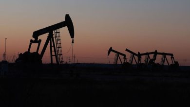 Oil prices stabilize with the evaluation of the “OPEC+” decision to increase production