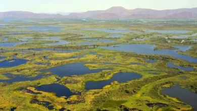 Up Wetlands List: Treasury of Nature is hidden in these 10 districts, 50 wetlands will become protected heritage – Uttar Pradesh Wetlands Lucknow News List of Key Websites