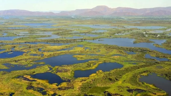 Up Wetlands List: Treasury of Nature is hidden in these 10 districts, 50 wetlands will become protected heritage – Uttar Pradesh Wetlands Lucknow News List of Key Websites