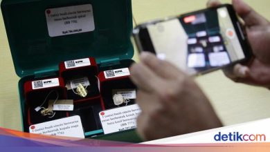 Who wants the RP to be auctioned by the KPK 67 billion gold dragon bracelet?