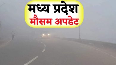 Monsoon -room starts in the state, the effect of sunlight appeared during the day