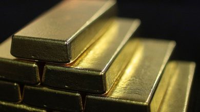 The price of gold still records new standard levels with the support of recipients
