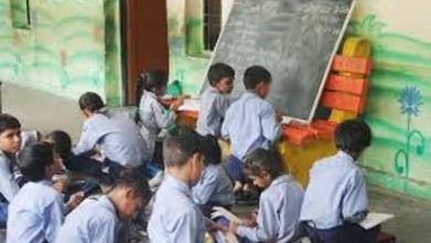 7% in 1947 to 99% in 2025: Himachal Pradesh declared full literate state