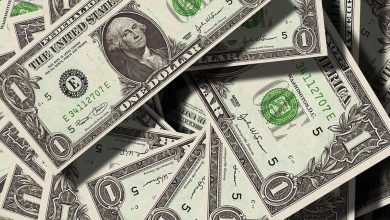 Sectoral rates are still on the point. Why some areas can avoid the bullet.
