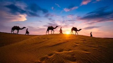 Thar -Desert spread from Rajasthan to Pakistan, the truth and cultural heritage of this unique desert in this beautiful documentary Learn