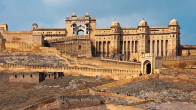 The specialty of this historical fort of Jaipur, the flower travel guide seen in the video with the best of staying and eating.