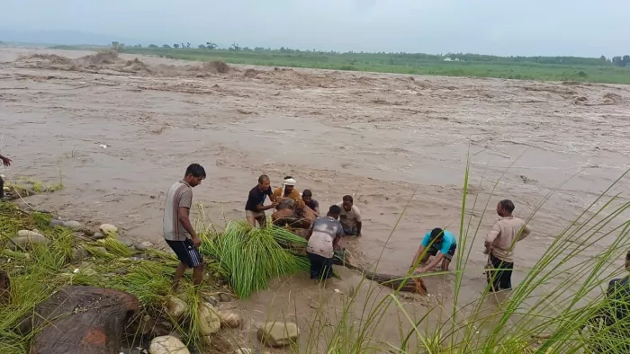 One lakh -quintalwood extracted from the river amid the ban in Yamunanagar, the price is five crore – 1 lakh kwintal wood vorth rs 5 crore was taken from the river amid the ban in Yamunanagar