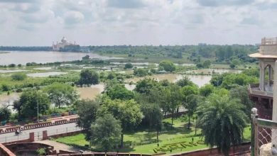 Flooding Destruction in Uttar Pradesh, the water level of rivers has risen, dead and destruction in many districts