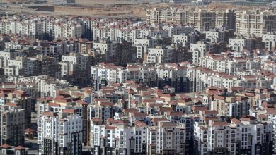 Sodies: Egyptians abroad and foreigners account for 35% of sales