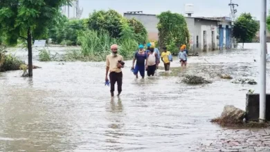 Punjab flood: debt, marriage and home … sown in the ground; Crying people said – everyone was swept away in floods – Punjab -flood debt marriage and house dreams sown in the ground said that everything was wasted in the flood
