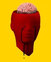 Habiculation: If the brain gets habit!