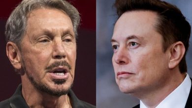 Larry Ellson kidnapped the rich people in the world from Elon Musk