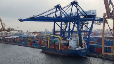 Egypt targets agriculture exports worth $ 20 billion by 2030