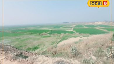 The development of the Darbhanga district will get new flight, industrial park to be built on 460.75 hectares of land, see details