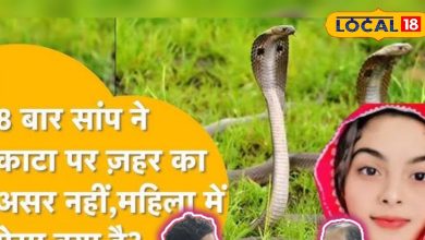 The same woman is repeatedly stunned by a snake … every time you survive know what the secret of this is