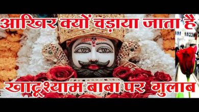 Why do dedicated rose flowers take in the Khatu Shyam Temple? Religious belief in the video, you will also be stunned