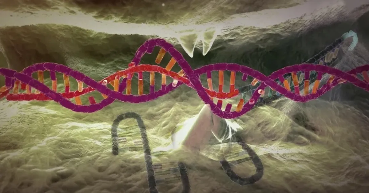 Study: A rare gene contributing to the development of Alzheimer’s disease