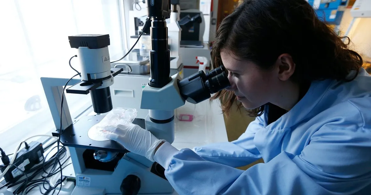 Russia reveals a new vaccine to treat cancer with MRNA technology