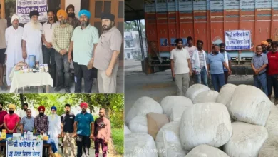Animal Tour became the support of animals facing floods in Jalandhar, treating by setting camp – Punjab Flood Animal Centey Department Treats Livestock in flood -driven areas in Jalandhar