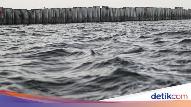Commission IV of the DPR will call the KKP to ask an explanation about the concrete wall in North Jakarta