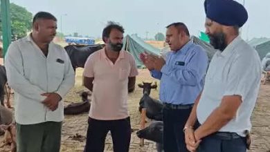 Department of Livestock Posted on Warning Mode for Safety of Animals in Fazilka, 32 teams deployed