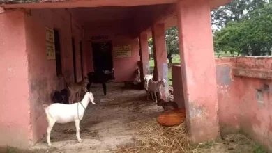 A Government School in Bihar, where only 2 students study but are restored to teach them 3 teachers – Bihar Breaking News: Bihar Government School in Bhagalpur, where only 2 student is allowed, but 3 teachers are appointed to teach them, Teaching News, Ed