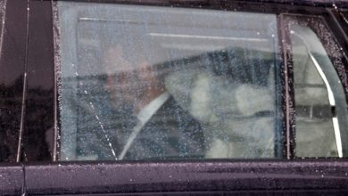 Prince Harry captivates silence after emotional reunion with Father King Charles: ‘Yes, he is wonderful’