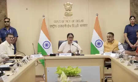 Chief Minister of Delhi checked Development Projects in Chandni Chowk Lok Sabha selection division