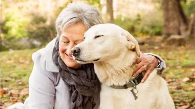 To impress, place your profile picture with these dogs, scientists have made shocking disclosure in research!
