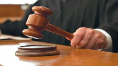 Himachal News: Explanations of 28 Witnesses and wait for 9 years … The penalty for the carriage on 11 people – statements of 28 witnesses and 9 years of waiting culprit that ran over 11 people were sentenced to sentence to sentence