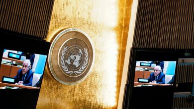 ‘Palestine becomes independent country’, India’s strong voice in the UN, support from 142 countries