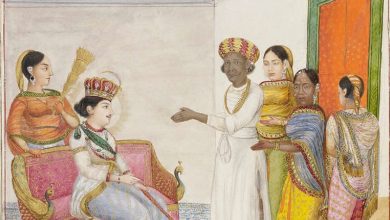 भारत का कौन सा राजा खूबसूरत किन्नर का दीवाना हुआ, शादी करके नाम दिया महक परी