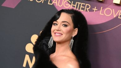 katy-perry’s-exact-property-woes:-all-the-pieces-you-want-to-know