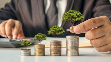 Small cap stock should be in focus on Monday; Here’s why