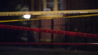 2-ineffective,-1-wounded-in-reach-west-side-shooting
