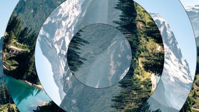 predictions:-how-the-‘enormous-one’-earthquake-hits-the-pacific-northwest
