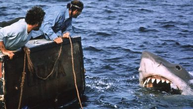 richard-dreyfuss-launches-weird-and-wonderful-merch-line-for-jaws’-fiftieth-anniversary