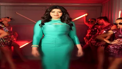 نور حسن تطلق أغنيتها الجديدة “من غيرك خايفة” – ryan