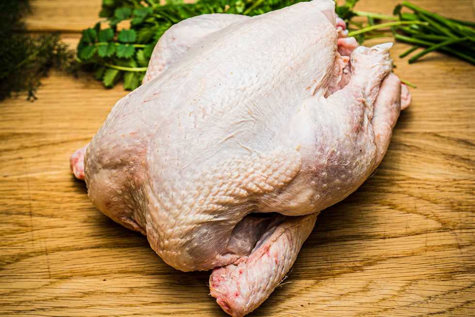 10 أجزاء دجاج لا يجب عليك تناولها أبداً.. قد تعرضك لخطر الإصابة بأمراض خطيرة