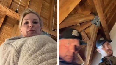 Scott Wolf’s Wife Kelley Detained by Police, takeen to hospital for evaluation – ryan