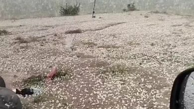 باتنة-مباشر-…