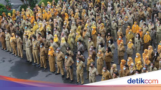 Schedule for determining PPPK part -time, look at the series of phases
