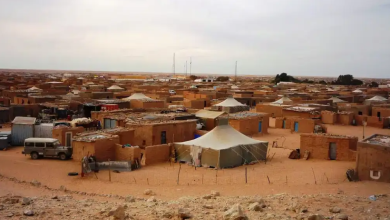 منتدى-جزر-الكناري-والصحراء-”يندد-بالانتهاكات-الجسيمة-لحقوق-الإنسان-في-مخيمات-تندوفick