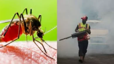 Unnao News: Dengue -Malaria terror is increasing, but there is no abuse in the city -Unnao Dengue and malaria outbreak lack of prevention measures