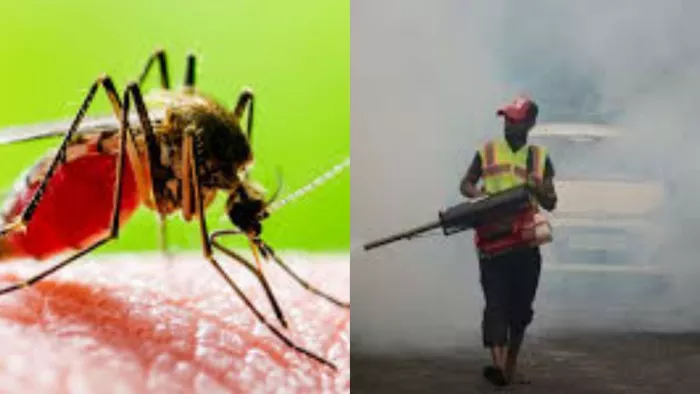 Unnao News: Dengue -Malaria terror is increasing, but there is no abuse in the city -Unnao Dengue and malaria outbreak lack of prevention measures